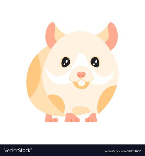 Pet Hamster Clipart Images