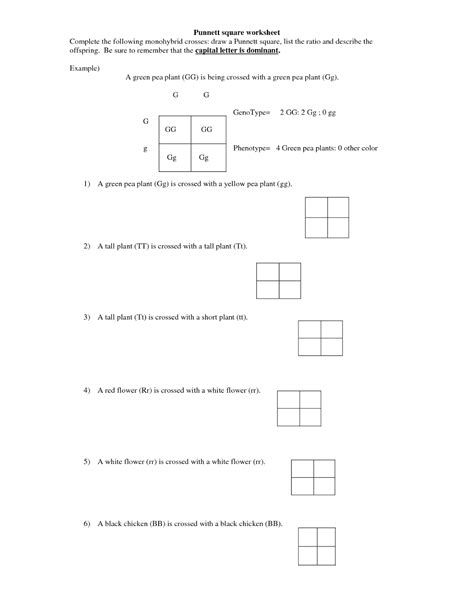 This is a basic worksheet for middle schools students. monohybrid cross worksheet