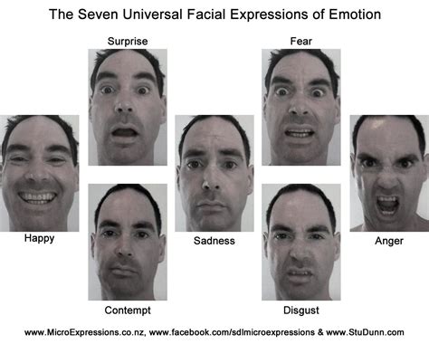 2012107 Universal Emotions