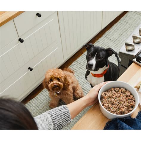 Switching your dog's food abruptly can cause gastrointestinal upset such as vomiting, diarrhea, and a decreased appetite. FREE (Reg. $45) The Farmers Dog 1-2 Week Supply of Dog ...