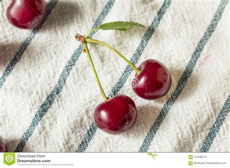 Raw Red Organic Tart Cherries Stock Photo Image Of Organic Delicious