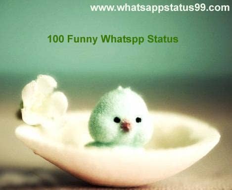 I'm so good at sleeping, i can do it with my eyes closed 😀 Dynamic Latest unseen WhatsApp status: The unseen Lastest ...