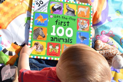 Discover Your First 100 Animals With Lift The Flap Forts And Fairies