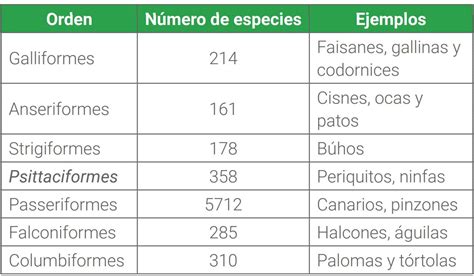 Clasificación Taxonómica De Las Aves Blog Tech Universidad Tecnológica