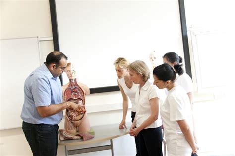 Itec Qcf Certificate In Anatomy Physiology And Pathology Formerly