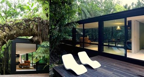 15 Modern Forest Houses That Purify Ones Soul In Pictures