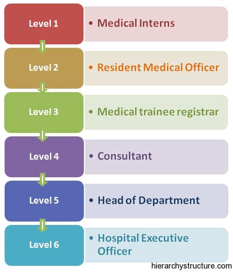Medical Career Hierarchy Career Hierarchy Structure