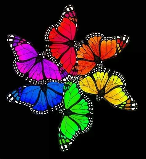 Rainbow Images Butterfly Bing Images Rainbow Butterflies Colorful