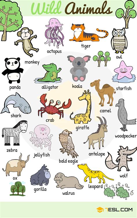 Animal Names Types Of Animals List Of Animals Animal Pictures • 7esl