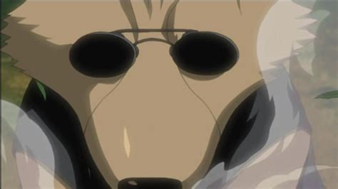 8 Ninken Alias Anjing Ninja Kakashi Dalam Cerita Naruto