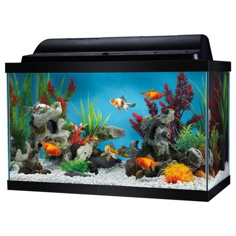 Top Fin 10 Gallon Aquarium Kit Aquariums Petsmart Fish Tank