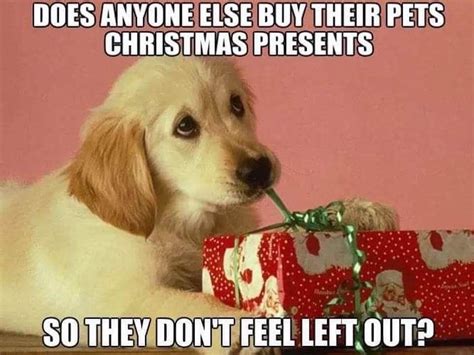 Pin By Janell On Christmas Memes Funny Dog Memes Dog Quotes Dog Memes