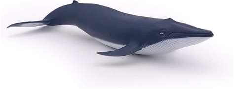 Papo 56041 Blue Whale Calf Marine Life Figurine Multicolour