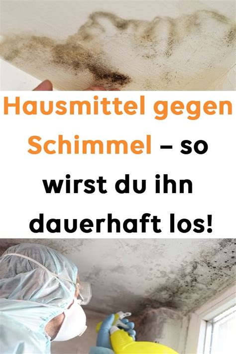 Schimmelbefall ist immer ein zusammenspiel von zu hoher feuchtigkeit und idealem nährboden. Hausmittel gegen Schimmel - so wirst du ihn dauerhaft los ...