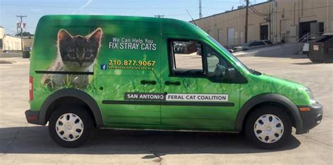It's important to spay/neuter all cats because they become pregnant repeatedly every year and have five to seven kittens in each litter. Vehicle Wrap - San Antonio Feral Cat Coalition on Behance