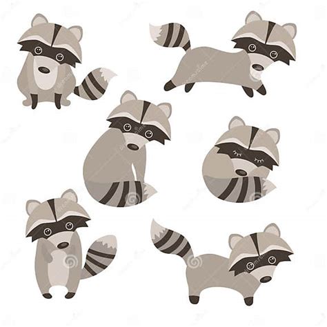 Set Of Cute Raccoons Stock Vector Illustration Of Mammal 97461879