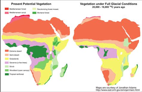 Africa's tropical savanna stretches through the middle of the continent. Distribution of the major vegetation zones of Africa in the present day...