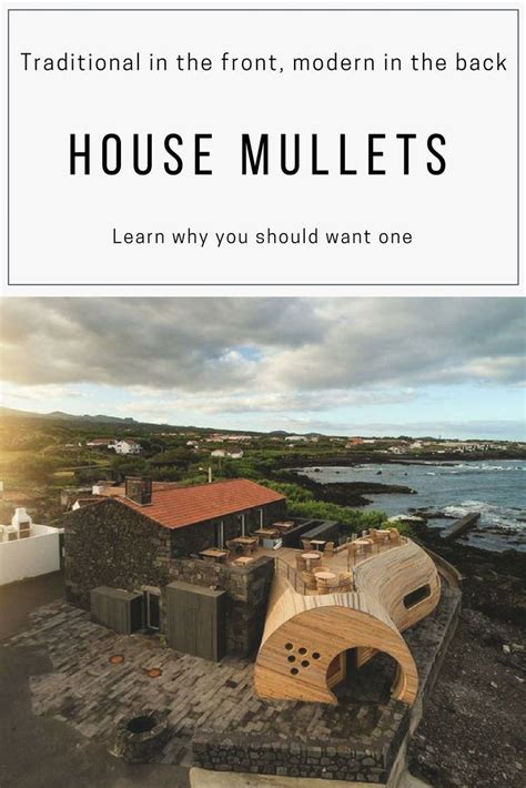 House Mullets Traditional In The Front Modern In The Backand Why
