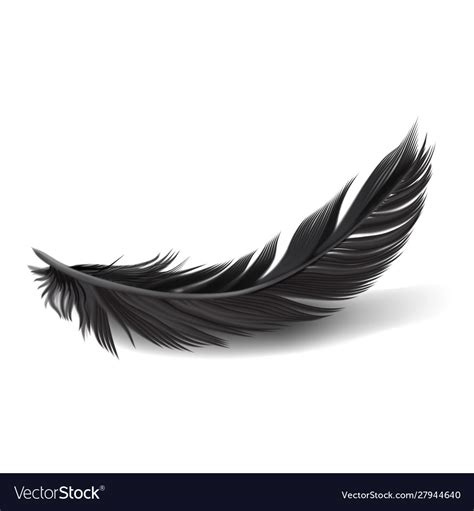 Black Feathers On White Background Royalty Free Vector Image