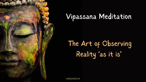 Vipassana Meditation The Art Of Observing Reality As It Is