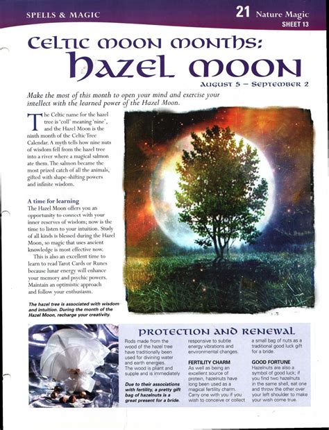 Enhancing Mind Body Spirit 21 Nature Magic Card 13 Celtic Moon Months