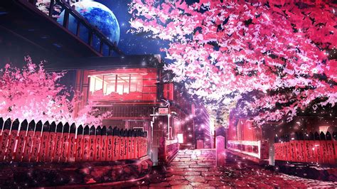 Pink Leafed Tree Anime Sakura Tree Road 720p Wallpaper