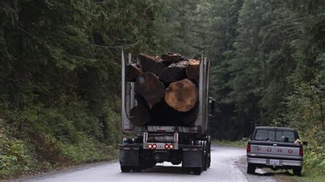 Proposed Changes To Forestry Policy Only A Start Bc Forest
