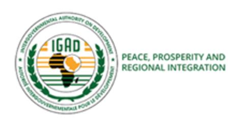 Igad Member States Legal Experts Review Draft Protocol On Conflict