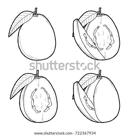 High quality guava juice gifts and merchandise. Guava Juice Coloring Page Sketch Coloring Page