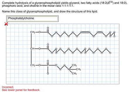 Solved Complete Hydrolysis Of A Glycerophospholipid Yields