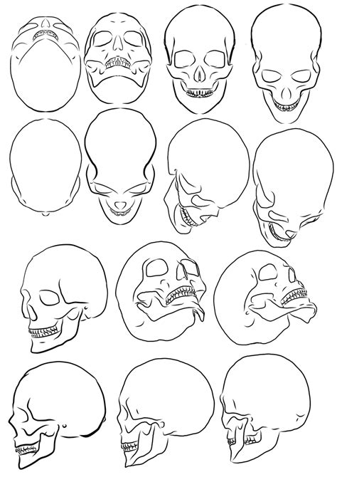 Simple Human Skull Drawing Clip Art Library