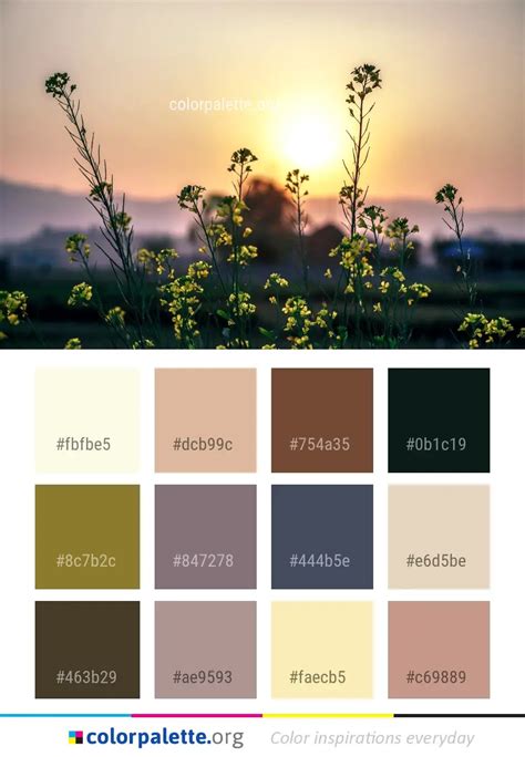 Nature Sky Morning Color Palette
