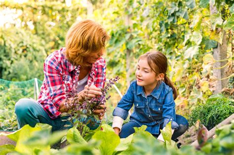 How Horticultural Therapy Benefits Children With Disabilities