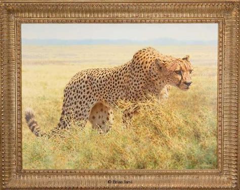 The Cheetah Original Oil 40 X 40 African Wildlife Original Art
