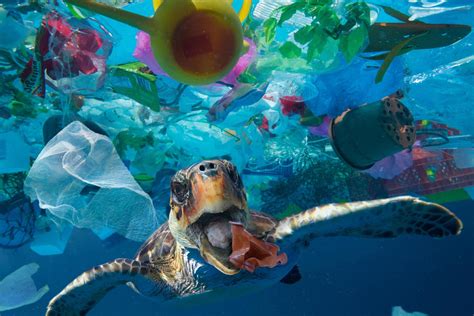 清除海洋垃圾 OBP海洋塑料认证的意义是什么 OBP海洋塑料认证 OBP认证咨询 OBP认证机构 OBP认证辅导 验厂之家