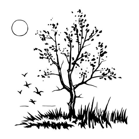 Tree Silhouette Sketch Stock Illustrations 65345 Tree Silhouette