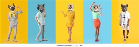 Set Funny Cats Human Bodies On Stock Photo 2171877309 Shutterstock