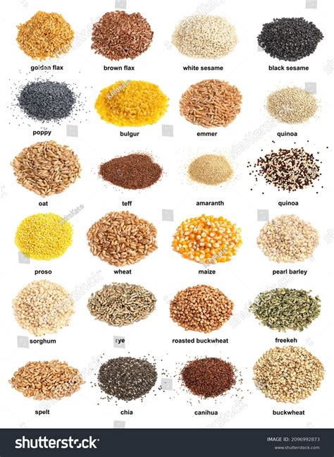 3 Thousand Cereal Grains Name Royalty Free Images Stock Photos