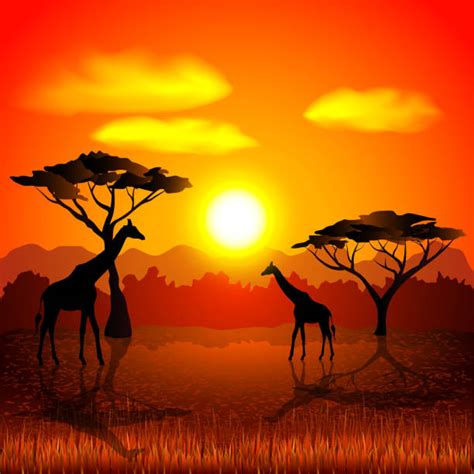 African Safari Background With Red Sunset And Tree Silhouette Illustrations Royalty Free Vector