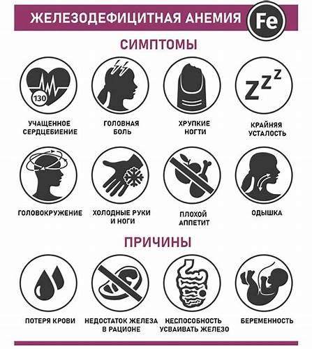 Железодефицитная анемия диета какая Железодефицитная анемия: признаки, симптомы, причины, лечение, профилактика Железодефицитная анемия: признаки, симптомы, причины, лечение, профилактика Железодефицитная анемия диета какая