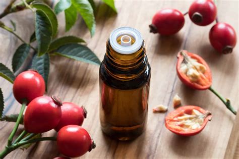 Rosehip Oil Vs Jojoba Oil