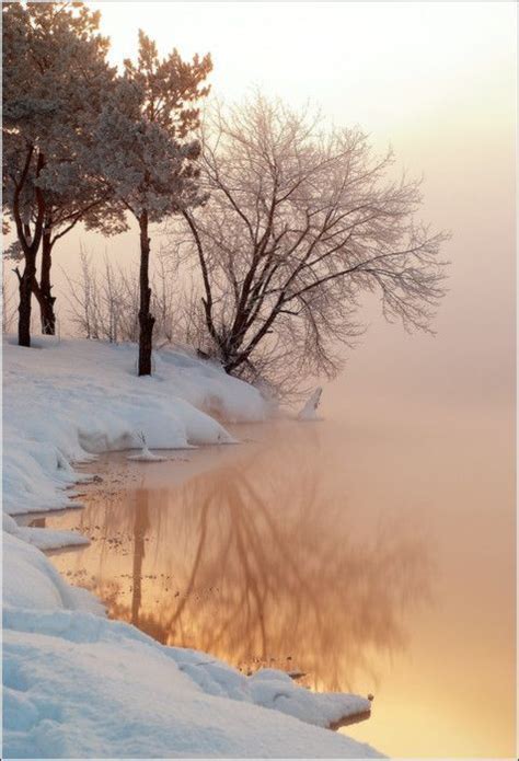 125 Best Lake Mist Atmospheric Phenomena Beauty In Nature