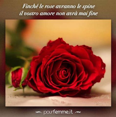 Frasi di auguri per l'anniversario 50 di matrimonio. Frasi per anniversario matrimonio in rima - Frasi per anniversario matrimonio in rima | Rose ...