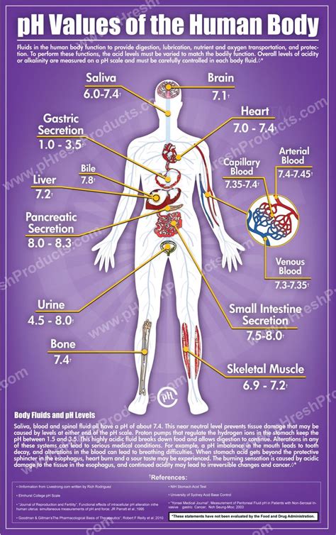 We did not find results for: pH of the human body. | Biology & Nature | Pinterest
