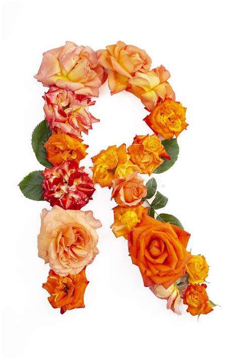 Capital Letter R Made With Red Orange Roses Stock Photo Image Of