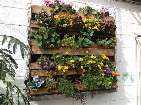 While they are increasingly popular in businesses and public areas, these living works of art are also especially handy for people living in small spaces where space for plants is limited. Pallet Green Wall • 1001 Pallets