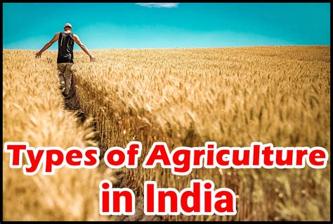 Types Of Agriculture In India