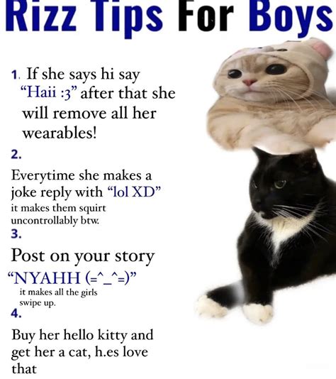 W Rizz Tips In Silly Memes Funny Images Silly Cats
