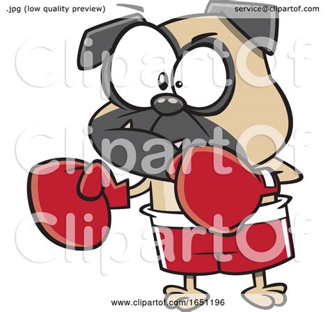 Cartoon Pugnacious Boxing Dog By Toonaday 1651196