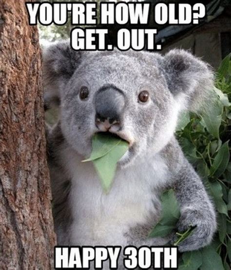 Thirty jokes funny 30th birthday quotes. 101 Funny 30th Birthday Memes for People That Are Still 25 ...